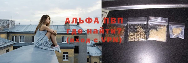 молекула духа Пересвет