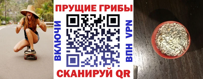 закладки  Малмыж  нарко площадка официальный сайт  Галлюциногенные грибы мухоморы  ссылка на мегу зеркало 